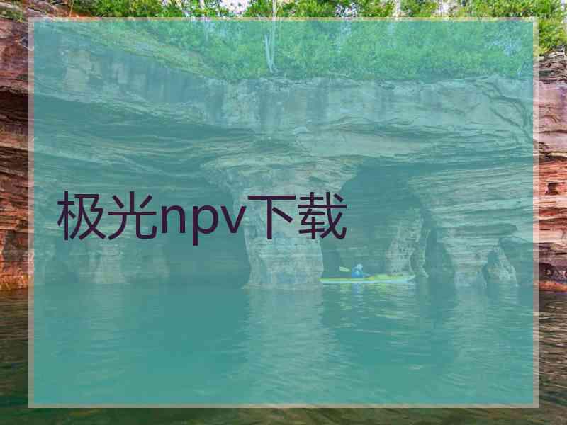 极光npv下载