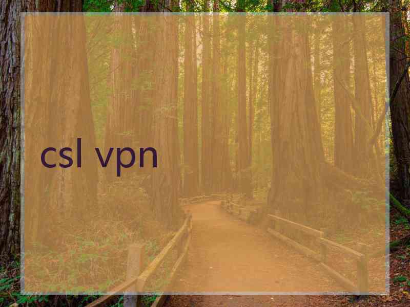 csl vpn