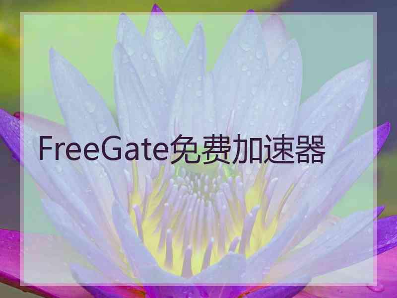 FreeGate免费加速器