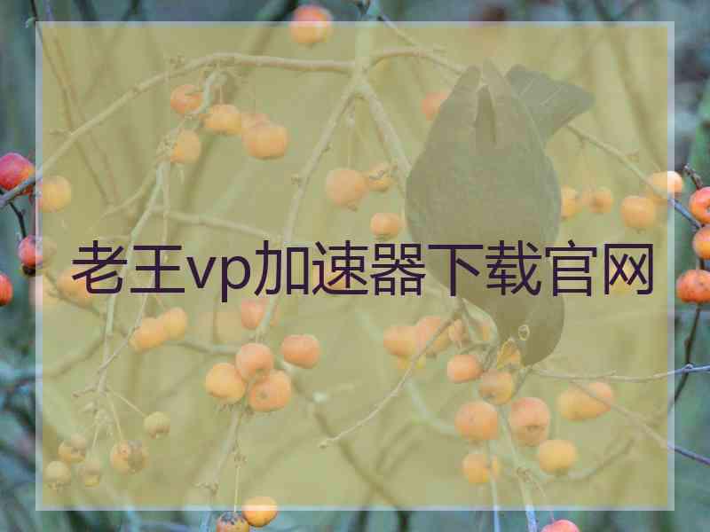 老王vp加速器下载官网