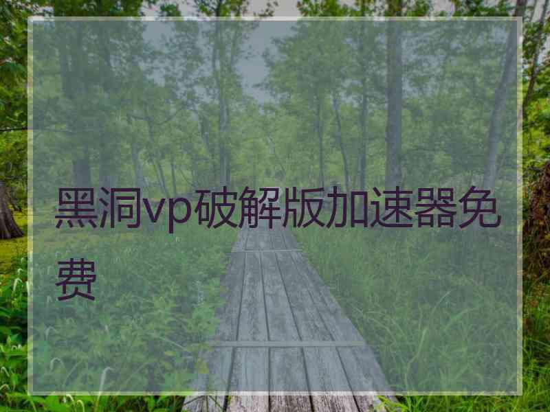 黑洞vp破解版加速器免费