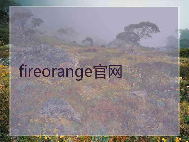 fireorange官网