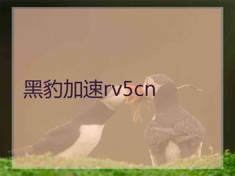 黑豹加速rv5cn