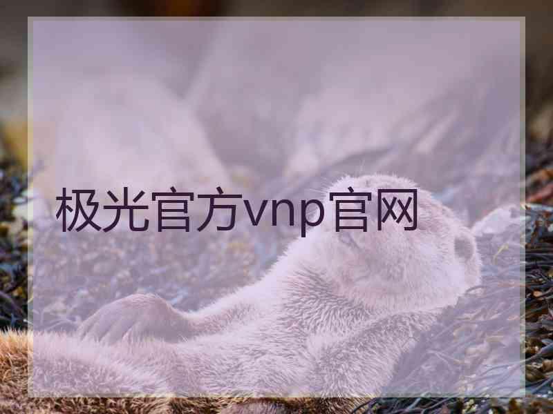 极光官方vnp官网