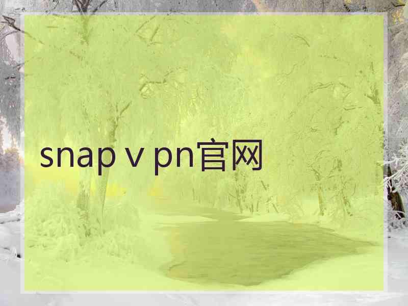 snapⅴpn官网