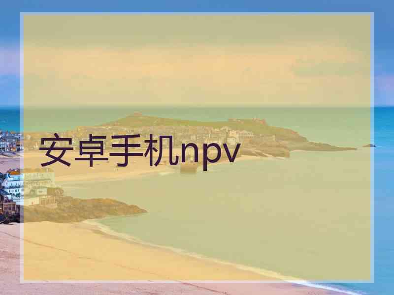 安卓手机npv