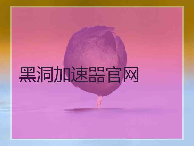 黑洞加速噐官网