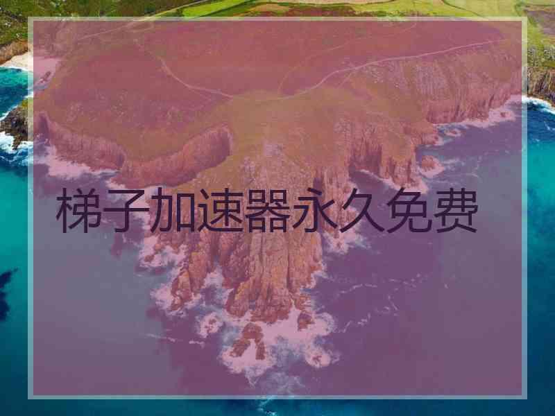 梯子加速器永久免费