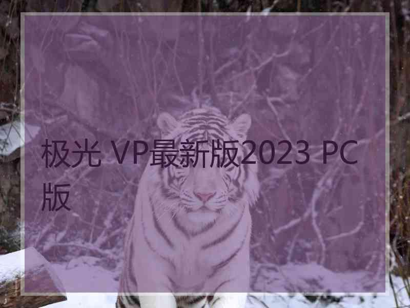 极光 VP最新版2023 PC版