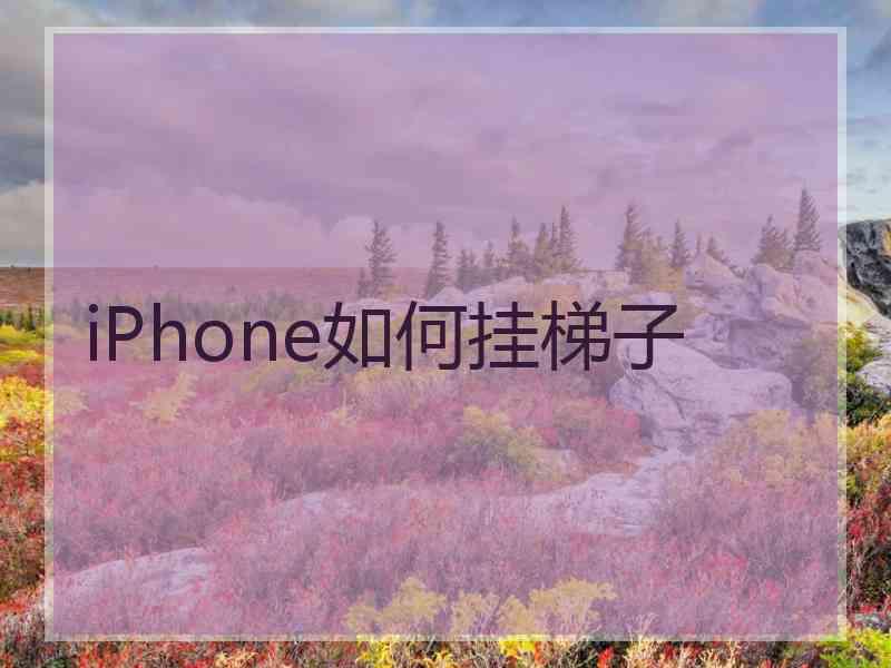 iPhone如何挂梯子